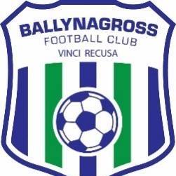 Ballynagross FC